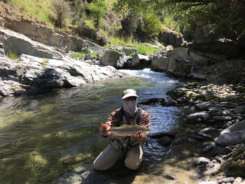 Glendeer Lodge Timaru Dış mekan fotoğraf